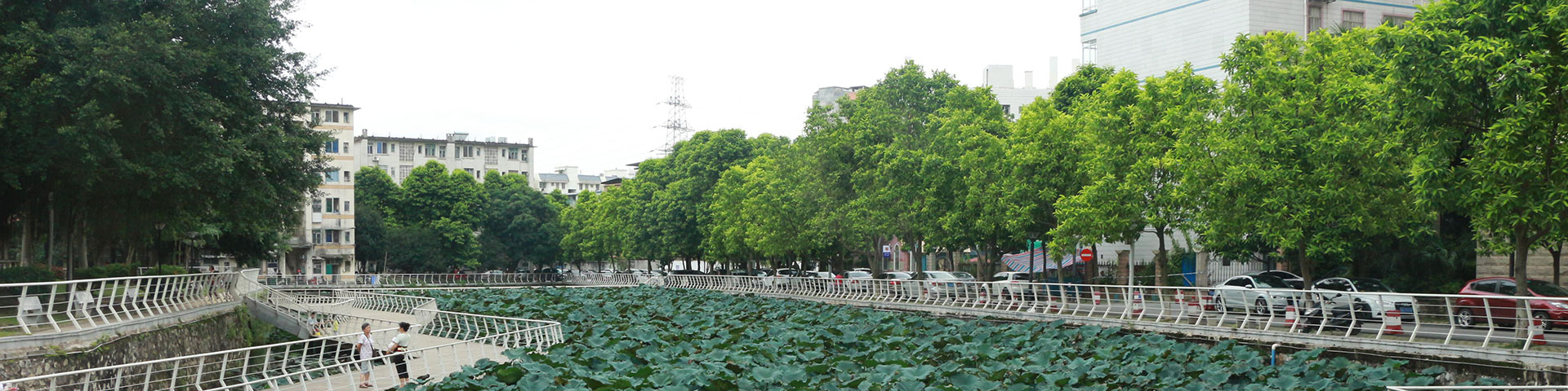 530021 继续了解