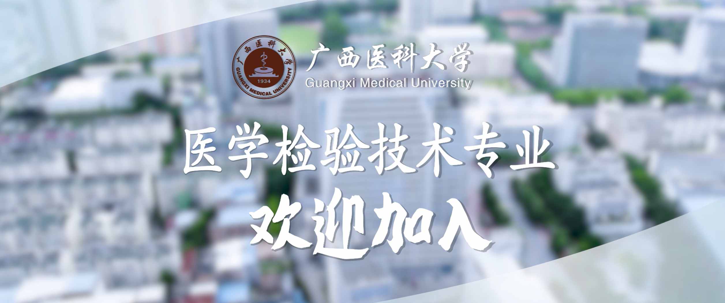 招生计划