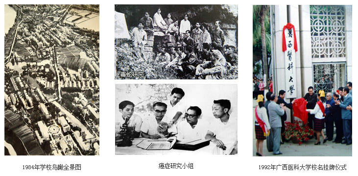 抗日战争爆发后