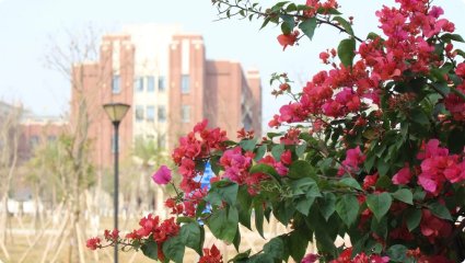 广西玉林市北流市新圩镇文华路107号
