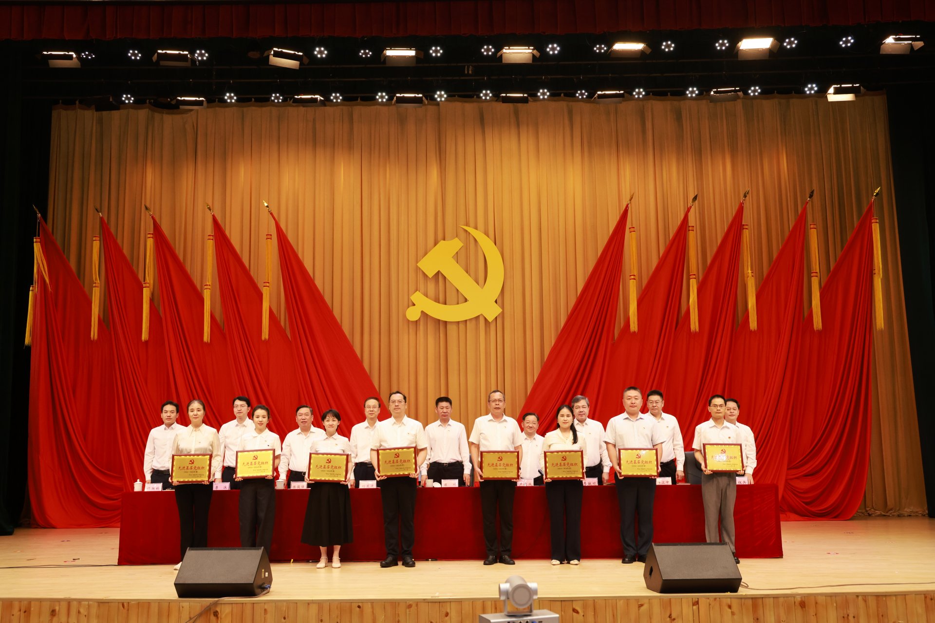 卢德成为老党员代表颁发“光荣在党50